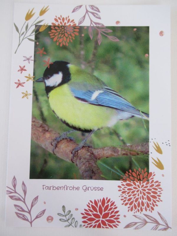 033 Postkarte Farbenfrohe Grüsse
